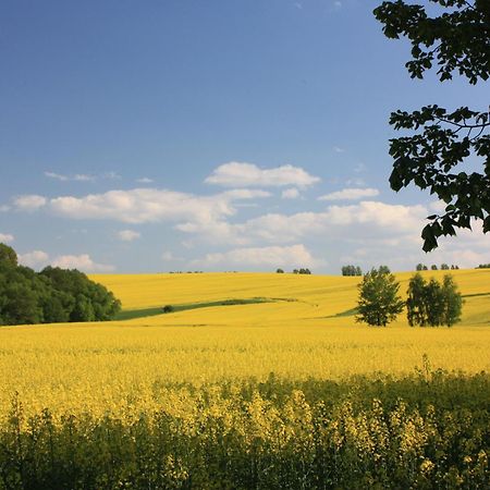 Fewo Am Geyersberg Oberschöna Exteriör bild