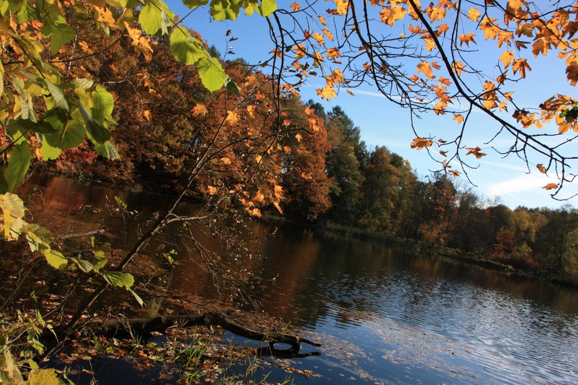 Fewo Am Geyersberg Oberschöna Exteriör bild